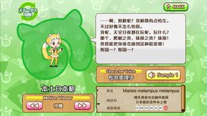 本土日本貂 动物朋友(nexon游戏) 1.jpg