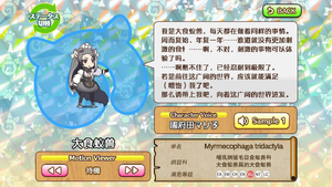 大食蚁兽 动物朋友(nexon游戏) 1.png