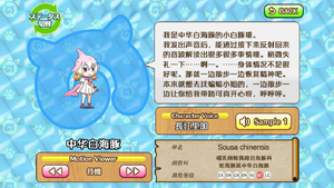 中华白海豚 动物朋友(nexon游戏) 1.png