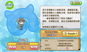 圆耳象 动物朋友(nexon游戏) 1.png