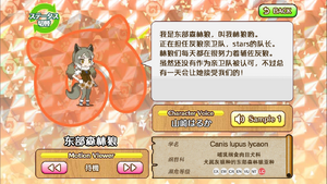 东部森林狼 动物朋友(nexon游戏) 1.png